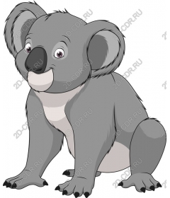  Adorable Koala bear