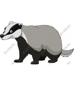 Honey badger