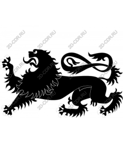  Ferocious lion
