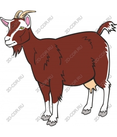 Charming brown goat