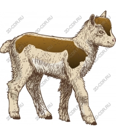  Charming goat