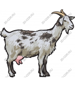  Charming Goat