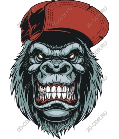  Face ferocious gorilla's little red riding hood