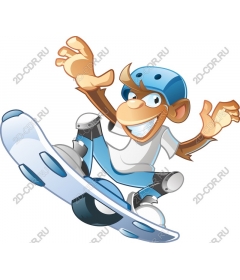 Playful monkey-the skateboarder