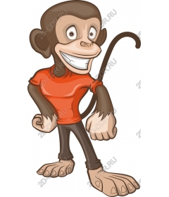 Funny cartoon monkey