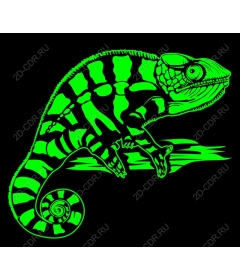  Neon Chameleon