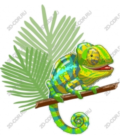  Charming Chameleon
