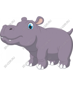  Cute Hippo