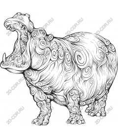  Swirling Hippo