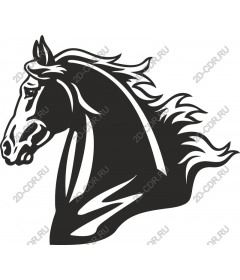  Black horse