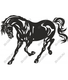 The Majestic Horse