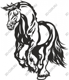  The Majestic Horse