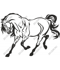 Элегантная Лошадь