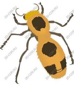  Bright bee