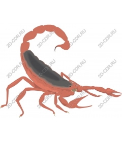  Bright Scorpio