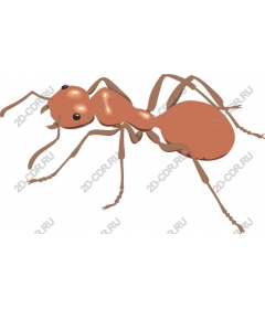 Realistic Ant