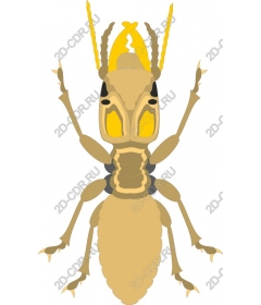  Bizarre Golden insect