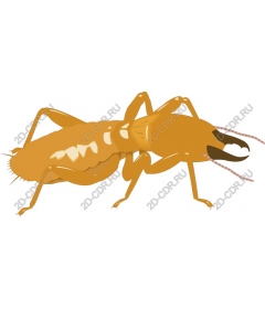  Realistic termite