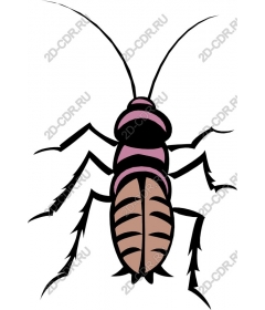  Stylized cockroach