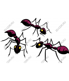  Set of bright clipart "Ants"