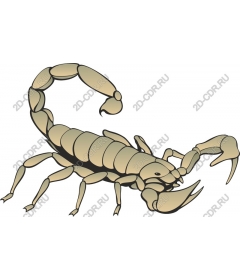  Scorpio