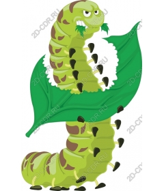 Playful caterpillar