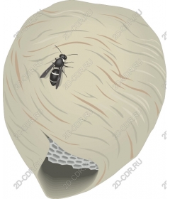  Hornet's nest