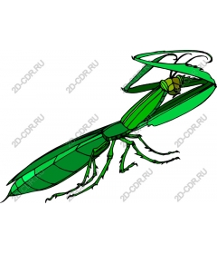  Bright green mantis