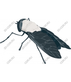 High quality fly
