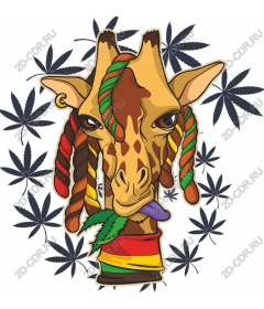 Rasta Giraffe