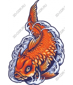  Bright koi fish