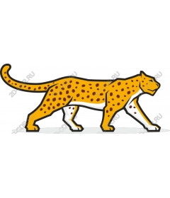  Bright leopard