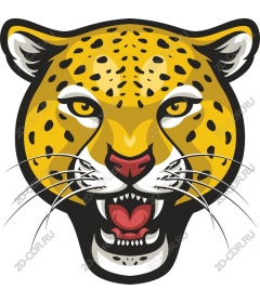  Ferocious leopard