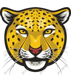  Bright leopard