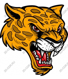  The "Head of the ferocious leopard"