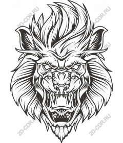  Ferocious lion head