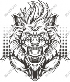  A majestic lion's head