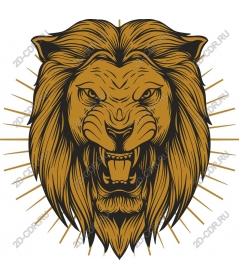  Ferocious lion head