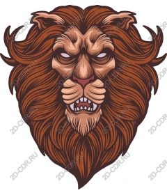  Ferocious lion