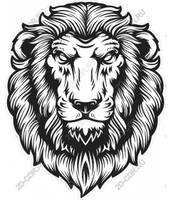 Majestic lion