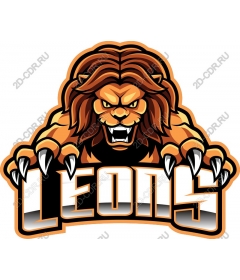  Ferocious lion