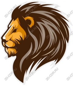  A majestic lion's head
