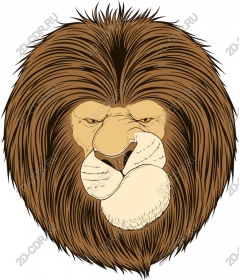  A majestic lion's head