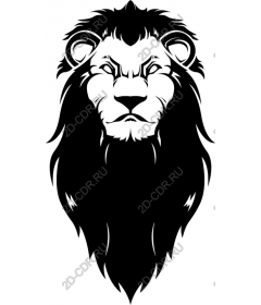  A majestic lion's head
