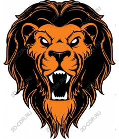 Head of a lion — fierce and brave