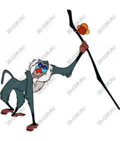 Playful monkey