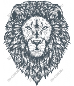  A majestic lion's head