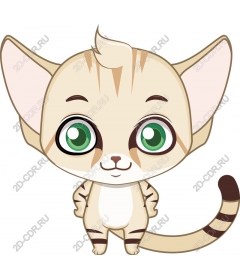  Cute playful cat