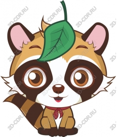  Cute raccoon