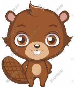  Cute beaver